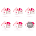 LESLIE - KEGEL FIT PELVIC MUSCLE TRAINING SET 6 WEIGHTS 5+1 FREE