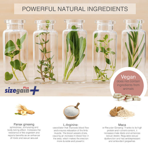 500 COSMÉTIQUES - PILULES SIZEGAIN PLUS POUR AGRANDIR LE PÉNIS