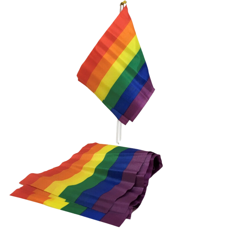 PRIDE – LGBTI-FLAGGE KLEINE FLAGGE BANNER