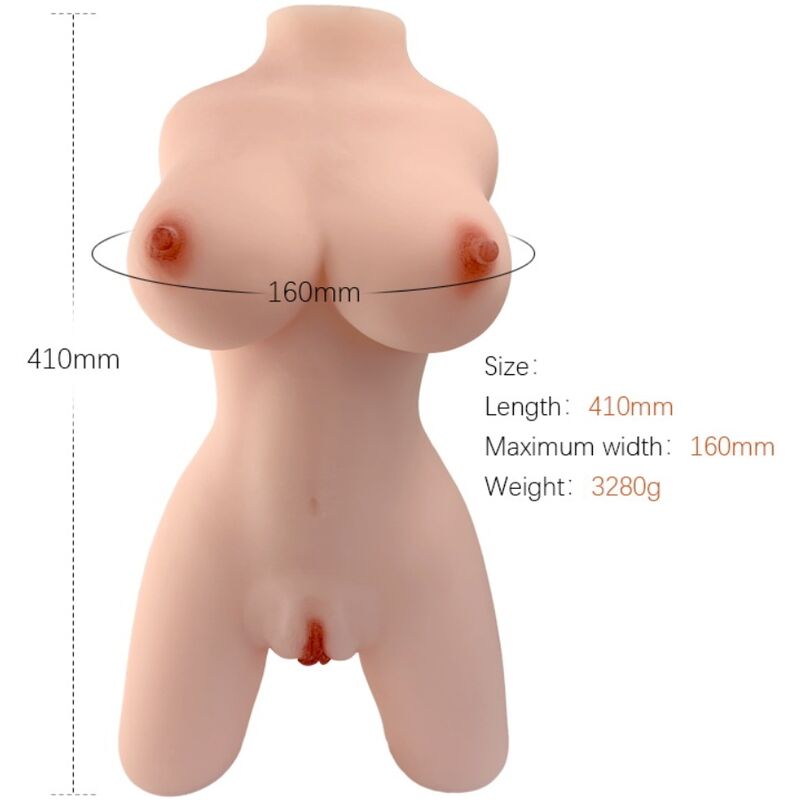 ARMONY - MODÈLE DE TORSE FÉMININ RÉALISTE 4