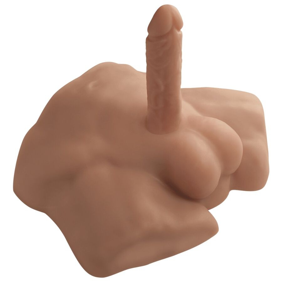 SILEXD - TORSE MASCULIN RÉALISTE APOLLO S COULEUR CARAMEL
