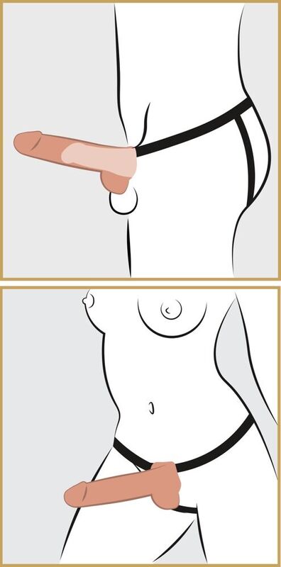 SÉRIE FETISH FANTASY - HARNAIS AJUSTABLE PÉNIS RÉALISTE AVEC TESTICULES ÉJACULANT 19 CM