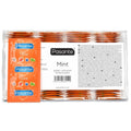 PASANTE - CONDOMS FLAVOR MINT BAG 144 UNITS